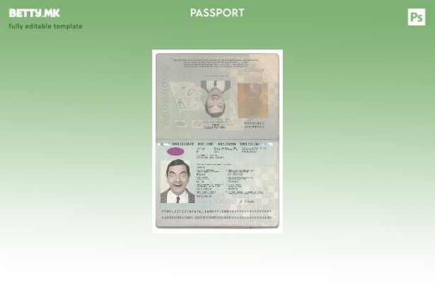 Шаблон за белгиски пасош ( ) модерен стил